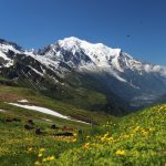 Frankreich: Wanderung um den Mont Blanc