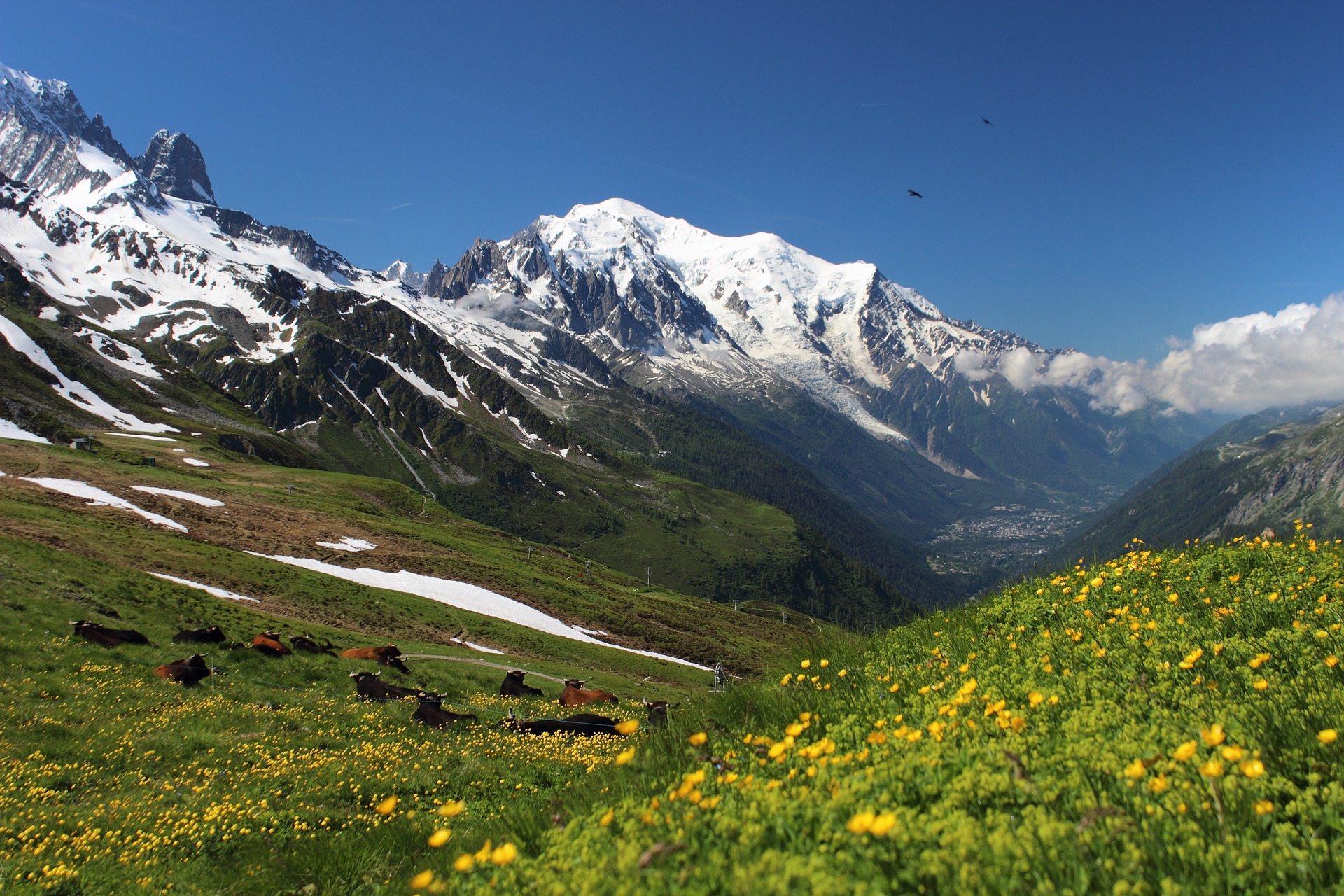 Frankreich: Wanderung um den Mont Blanc - Wandern24 - Komm, lass uns wandern gehen