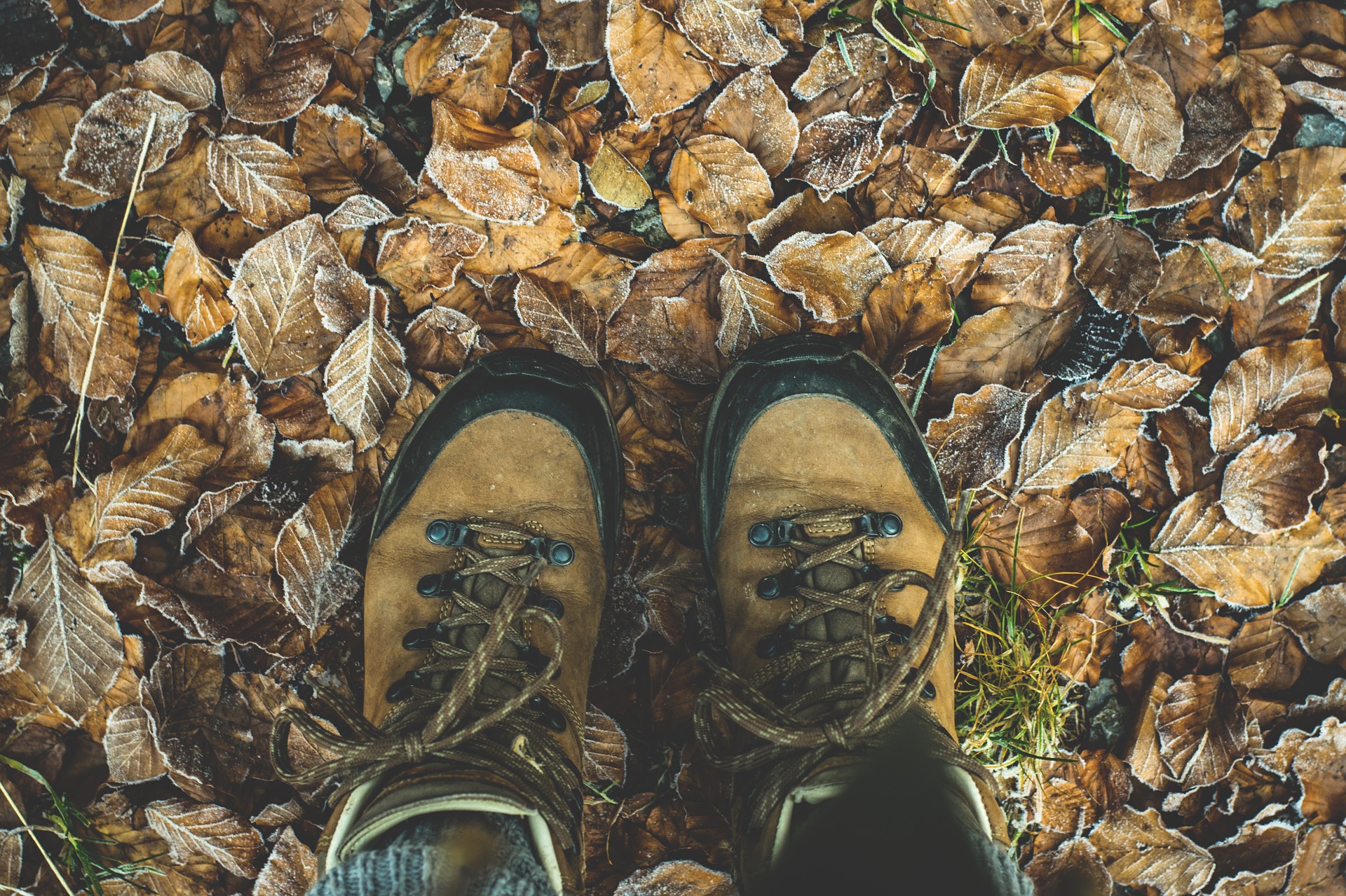 Darauf solltest du achten, wenn du dir neue Wanderschuhe kaufst